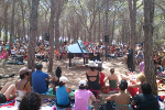 Concerto pineta di Sant'Anna